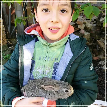 Casale Ermo Colle Bed & Breakfast Recanati