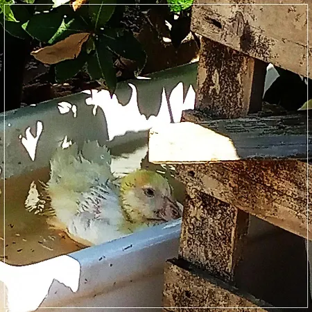 Casale Ermo Colle 4*