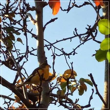 Bed & Breakfast Casale Ermo Colle