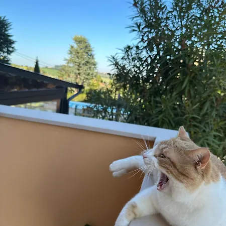 Oda ve Kahvaltı Casale Ermo Colle Recanati